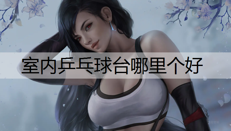 室内乒乓球台哪里个好