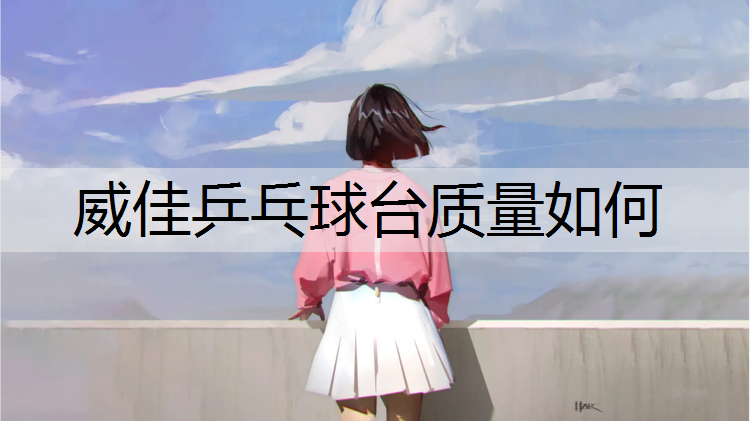 威佳乒乓球台质量如何