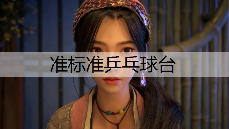 准标准乒乓球台