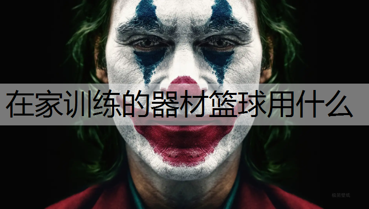 在家训练的器材篮球用什么