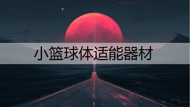 小篮球体适能器材