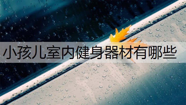 小孩儿室内健身器材有哪些