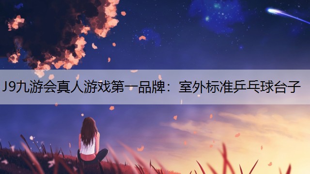 室外标准乒乓球台子