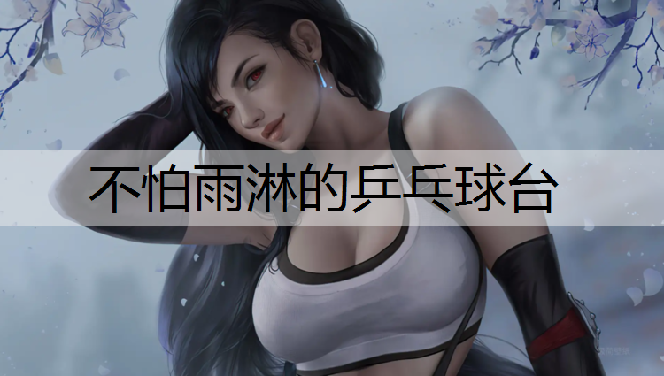 不怕雨淋的乒乓球台