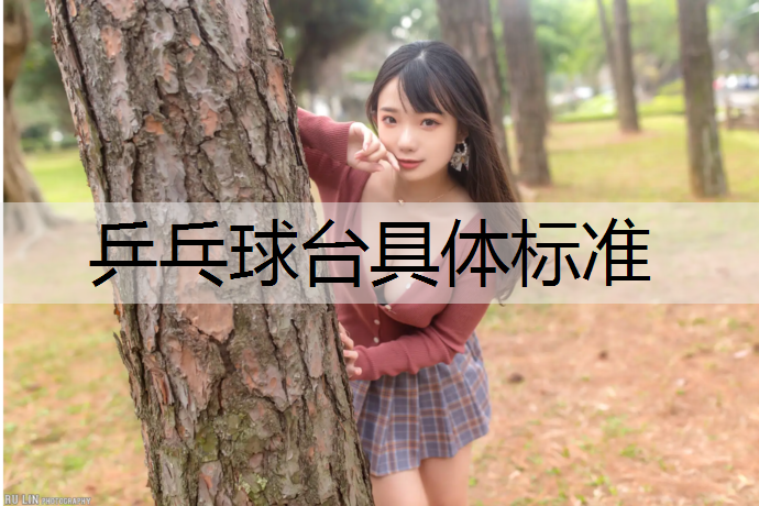 乒乓球台具体标准