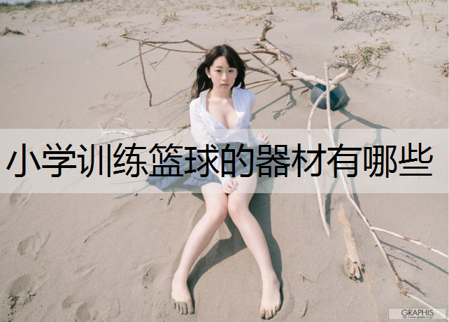 小学训练篮球的器材有哪些