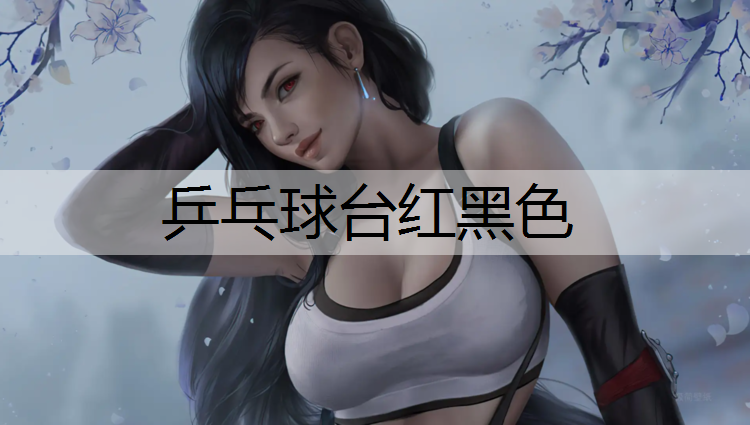 乒乓球台红黑色