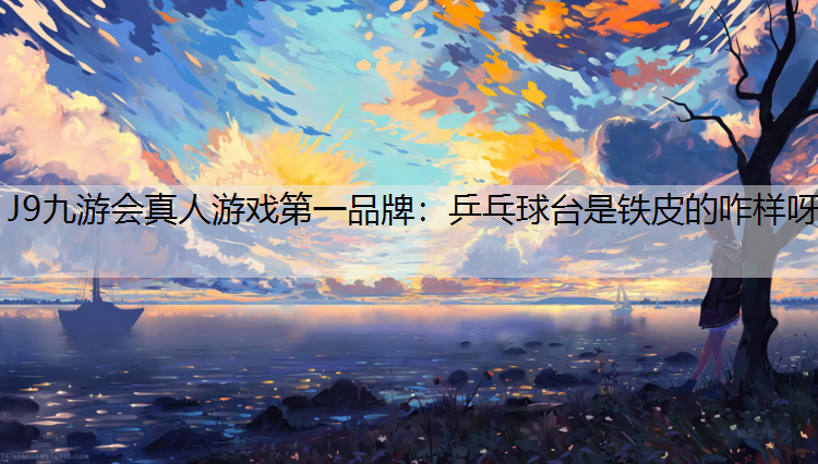 乒乓球台是铁皮的咋样呀